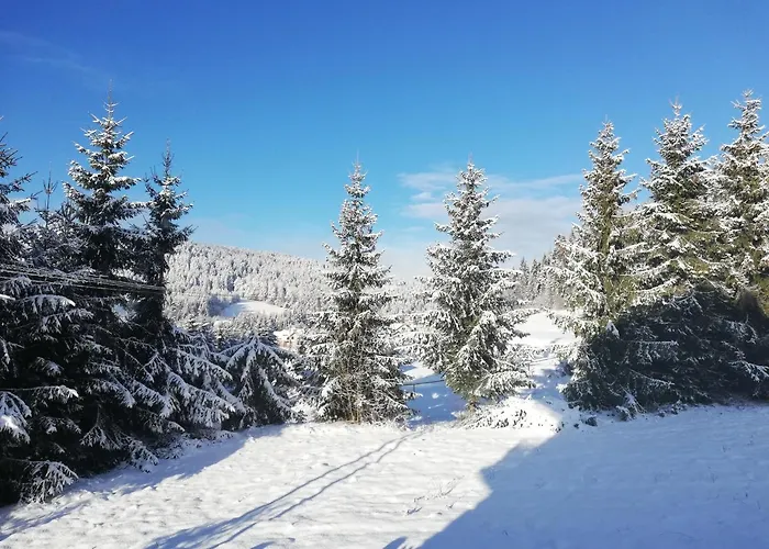 Odnova 3* 泰里克兹